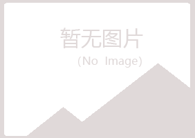 嵩明县夏日服务有限公司